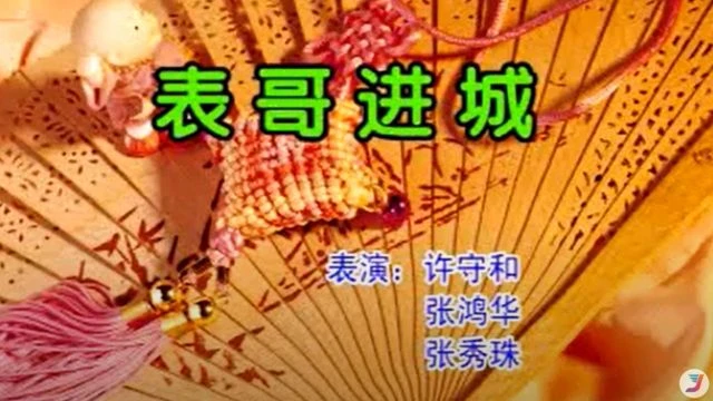 潮汕小品《表哥进城》主演：徐守和 等 潮汕话标清_144p