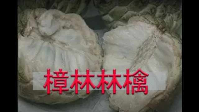 《潮汕風》 樟林林檎 - Teochew Sugar-apples