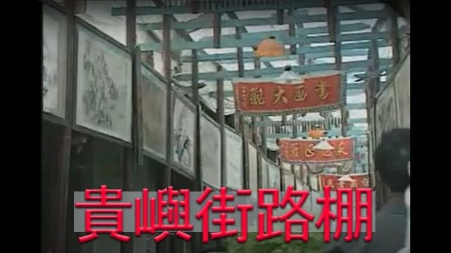 《潮汕風》 貴嶼街路棚 - Teochew Street Canopy Art